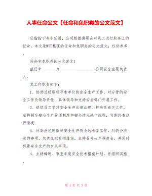 人事任命公文【任命和免职类的公文范文】.doc