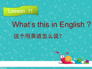 科普版英语四上Lesson 11《What’s this in English》ppt课件2.ppt