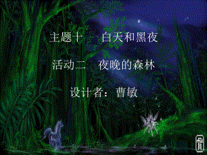 夜晚的森林.ppt