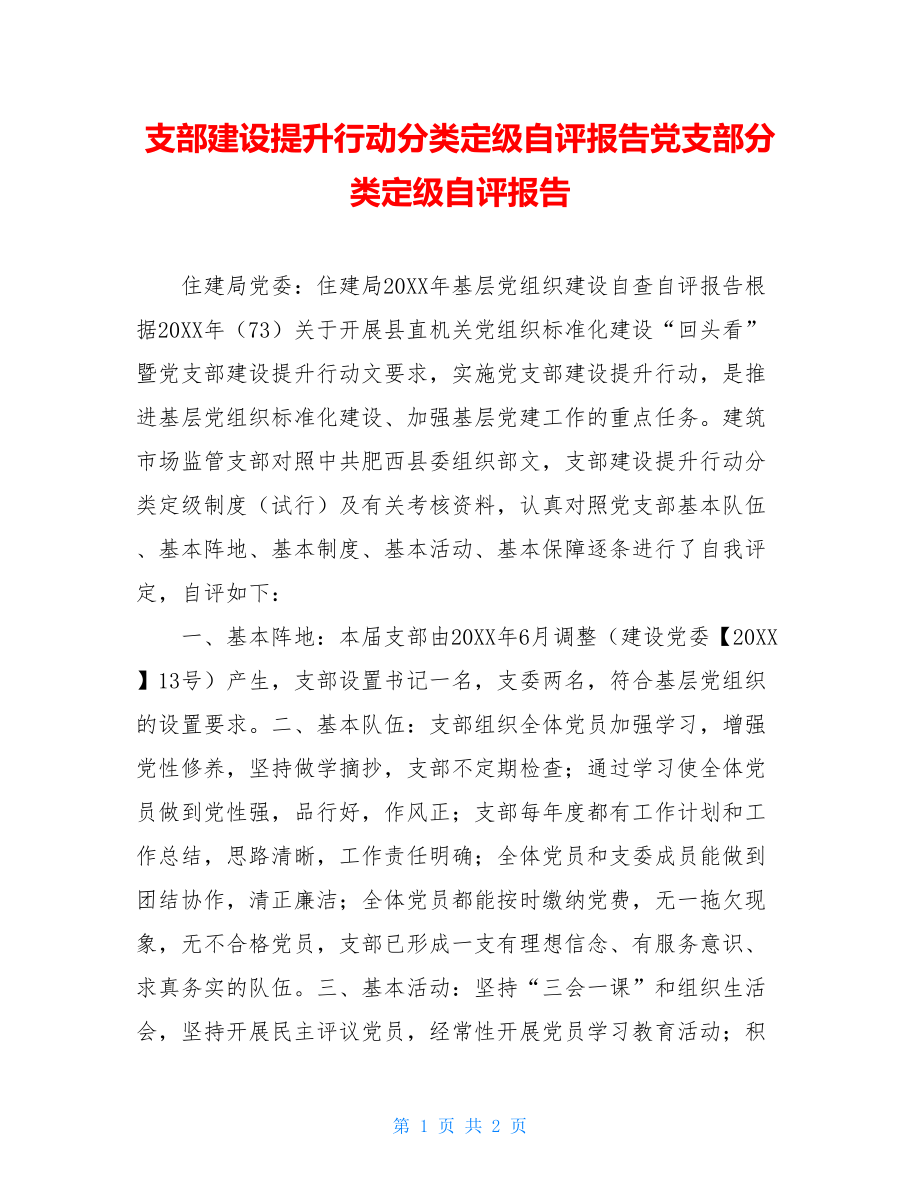 支部建设提升行动分类定级自评报告党支部分类定级自评报告.doc_第1页