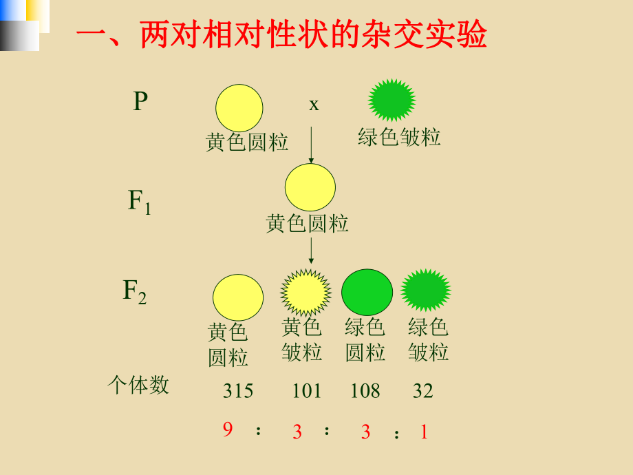 生物：12孟德尔的豌豆杂交实验（二）精品课件（人教版必修2）.ppt_第2页