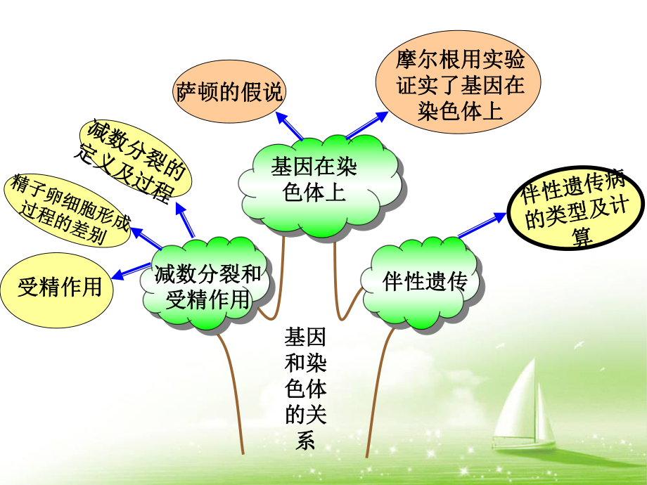 第二章知识树.ppt_第1页