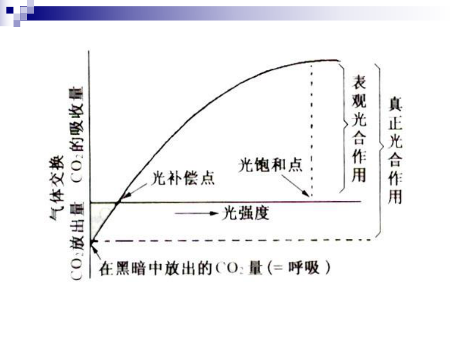 光合作用与呼吸作用综合图表计算题专项.ppt_第2页