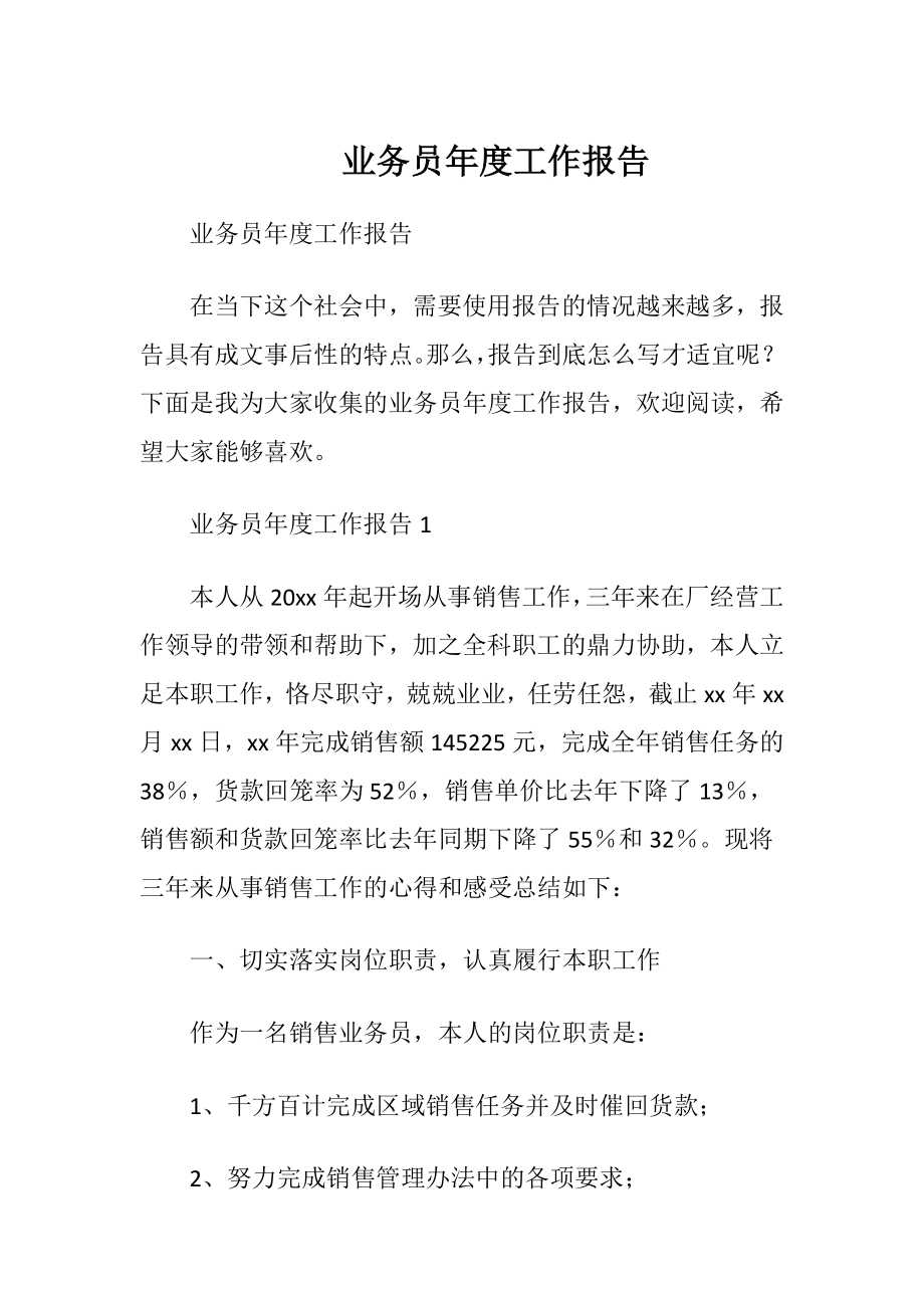 业务员年度工作报告 (2).docx_第1页