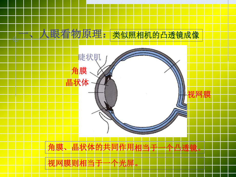 5,4眼睛和眼镜.ppt_第2页