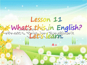 科普版英语四上Lesson 11《What’s this in English》ppt课件1.ppt