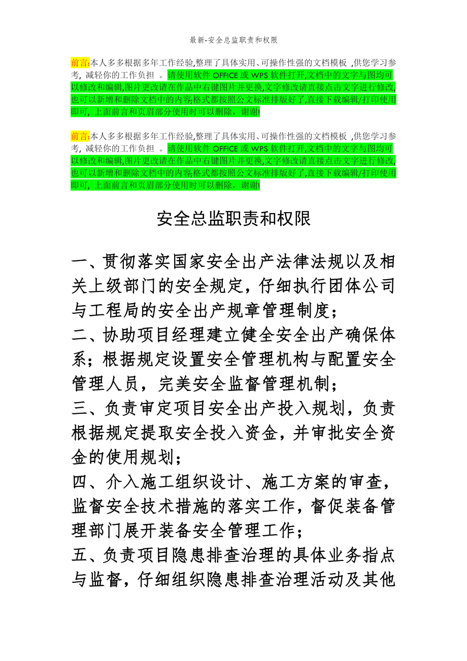 2022年范文范本安全总监职责和权限.doc_第2页