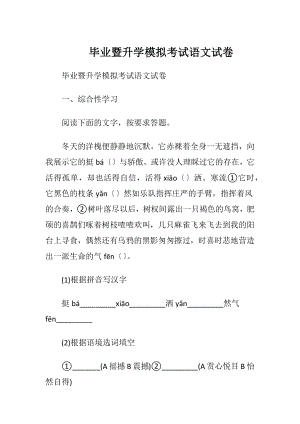 毕业暨升学模拟考试语文试卷.docx