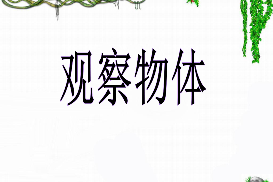 17《观察物体》教学课件3.ppt_第1页