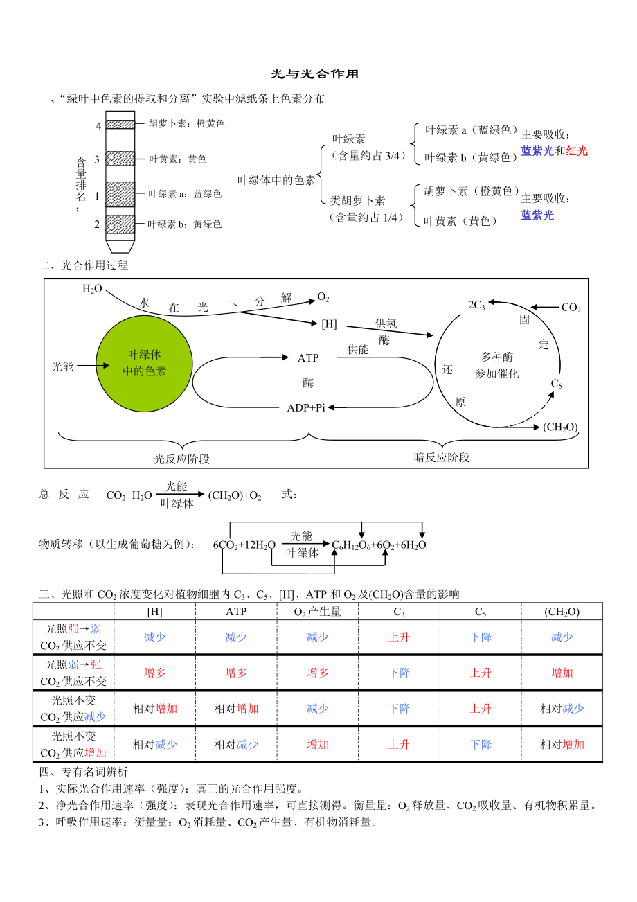 高考生物一轮复习重点知识整理(光合作用、呼吸作用).doc_第2页