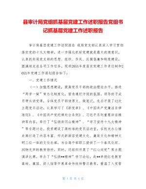 县审计局党组抓基层党建工作述职报告党组书记抓基层党建工作述职报告.doc