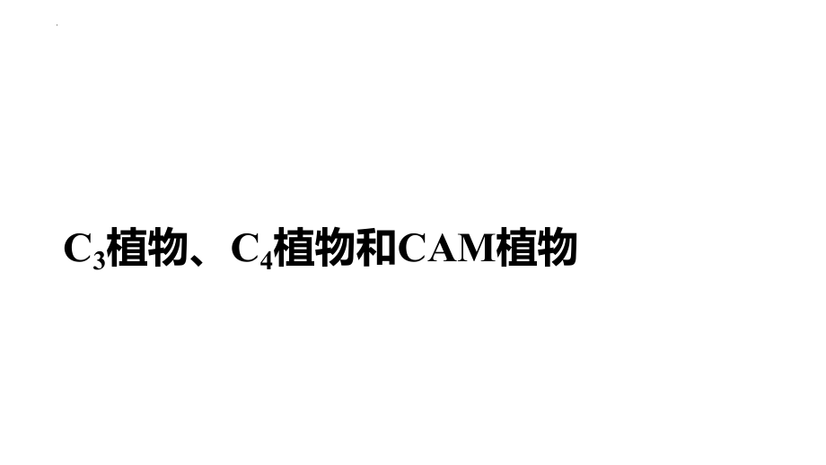 高三生物一轮复习课件：C3植物、C4植物和CAM植物.pptx_第1页