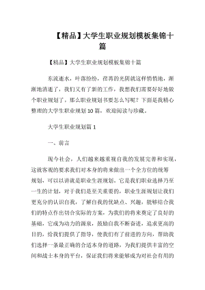 【精品】大学生职业规划模板集锦十篇.docx