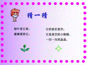 《14鲜花和星星》课件.ppt