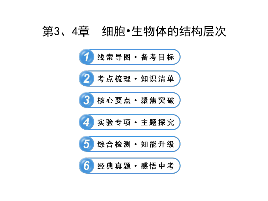 第3-4章_初中七年级生物课件.ppt_第1页