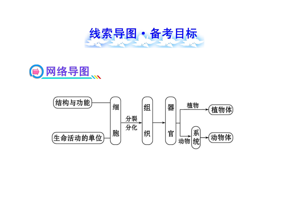 第3-4章_初中七年级生物课件.ppt_第2页