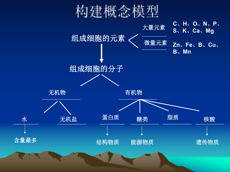 专题一组成细胞的分子.ppt_第2页