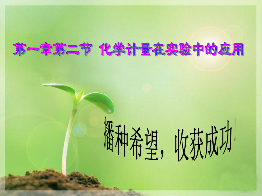 第二节化学计量在实验中的应用第一课时.ppt_第1页