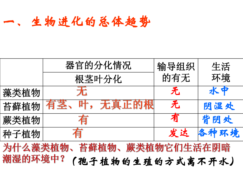 3生物进化的历程.ppt_第2页