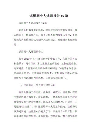 试用期个人述职报告15篇.docx