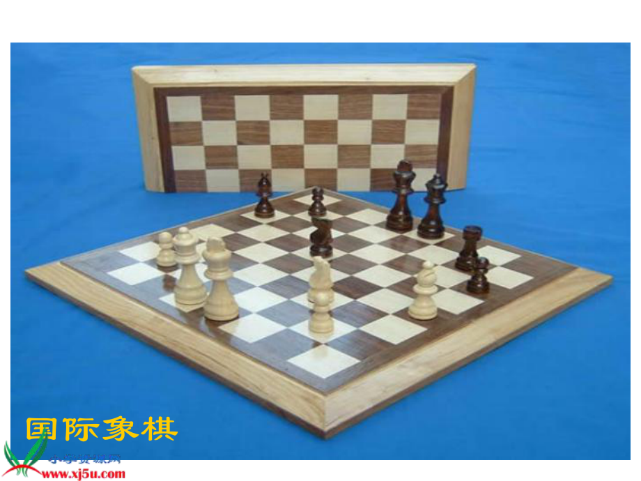 13《学棋》PPT课件（苏教版二年级语文下册课件）.ppt_第2页