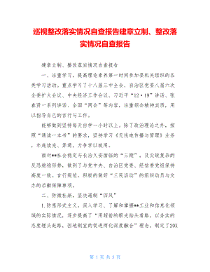 巡视整改落实情况自查报告建章立制、整改落实情况自查报告.doc