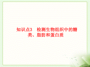 检测生物组织中的糖类、脂肪和蛋白质.ppt