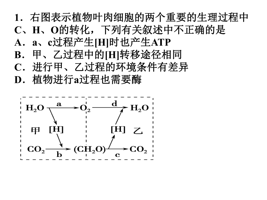 光合作用呼吸作用.ppt_第1页