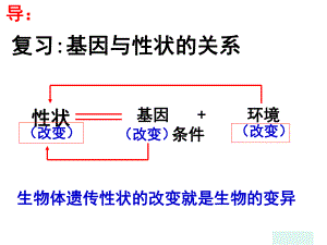 基因突变和基因重组课件--高一下学期生物人教版必修2.pptx