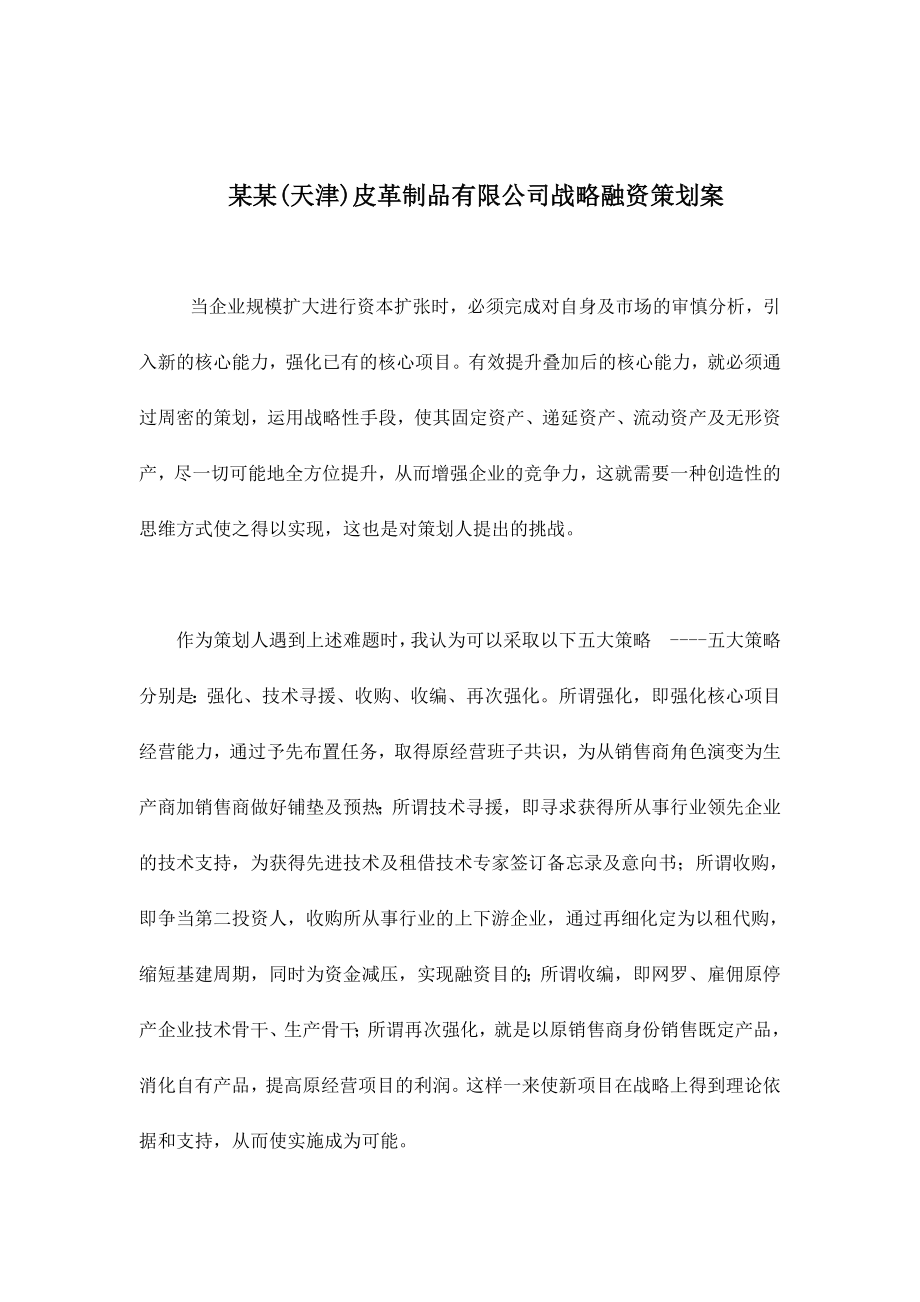 某某(天津)皮革制品有限公司战略融资策划案(doc10).docx_第1页