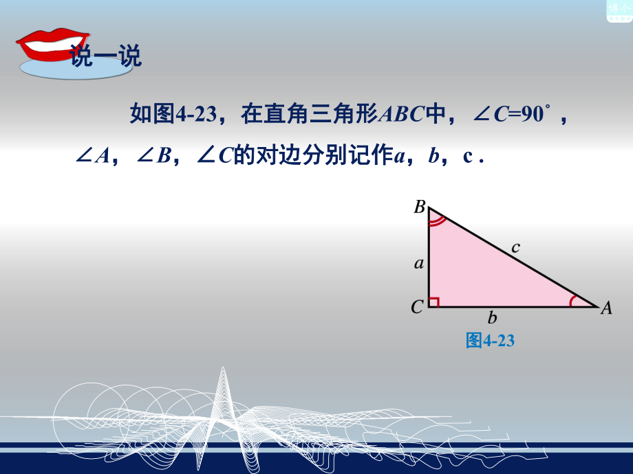 43解直角三角形及其应用.ppt_第2页