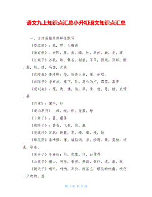 语文九上知识点汇总小升初语文知识点汇总.doc