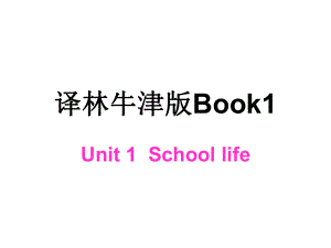 unit1《SchoolLife》Grammarandusage1（3）牛津译林版必修1.ppt