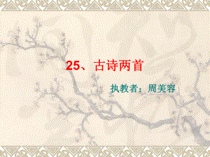 25、《古诗两首》课件.ppt