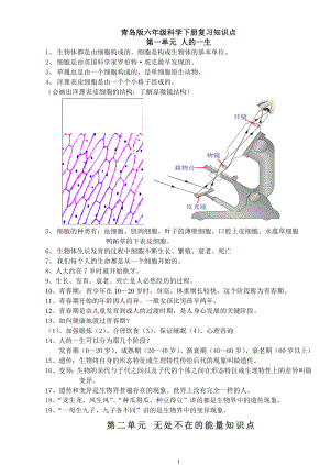 青岛版六年级下册科学知识点总结.doc