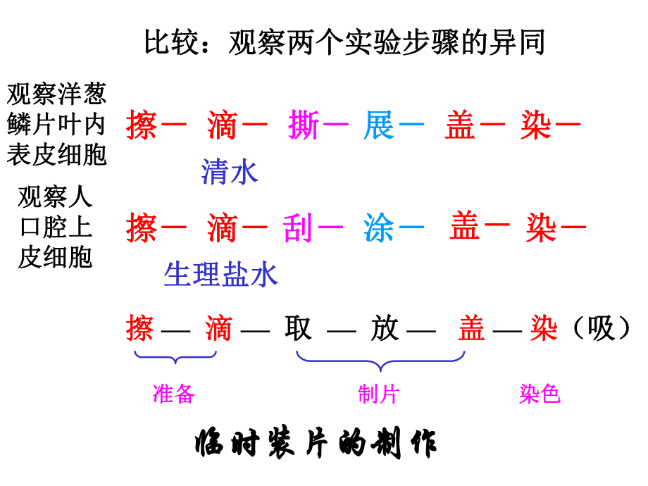 第一节细胞的生活需要物质和能量学案.ppt_第1页