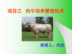 三-肉牛饲养管理技术ppt课件.ppt