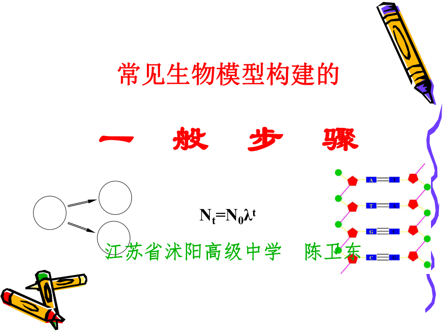 常见生物模型构建的一般步骤.ppt_第1页