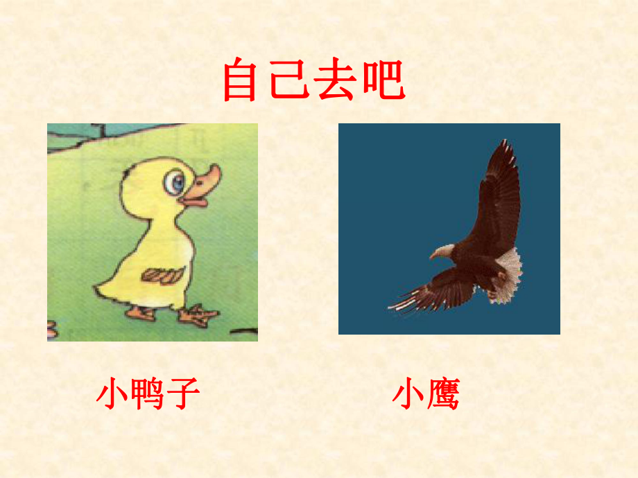 14自己去吧 (2).ppt_第2页