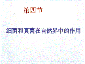 第四节菌类在自然界中的作用.ppt