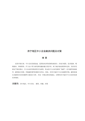 西宁地区中小企业融资问题与对策.docx