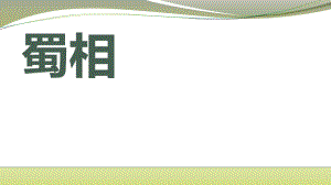 《蜀相》课件17张--统编版高中语文选择性必修下册.pptx