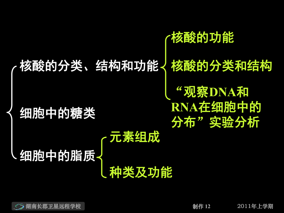 核酸、细胞中的糖类和脂质.pptx_第2页