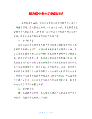 新农保业务学习培训总结.doc