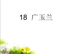 18《广玉兰》PPT课件.ppt