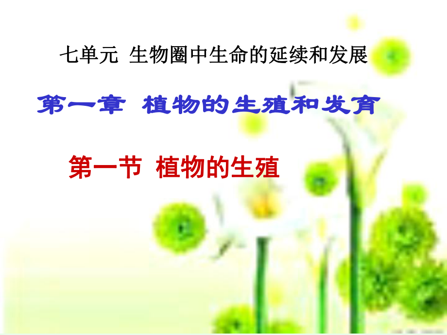 植物的生殖2.ppt_第1页