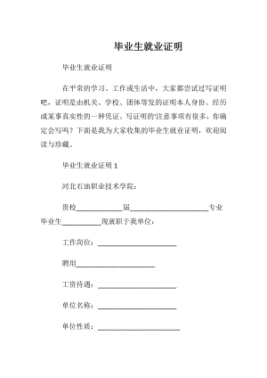 毕业生就业证明.docx