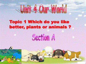 Unit4Topic1SectionA教学课件.ppt