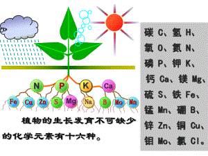 九年级化学下册第11单元课题1化学肥料课件新人教版.ppt