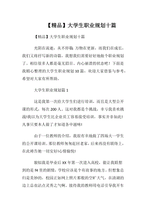 【精品】大学生职业规划十篇.docx